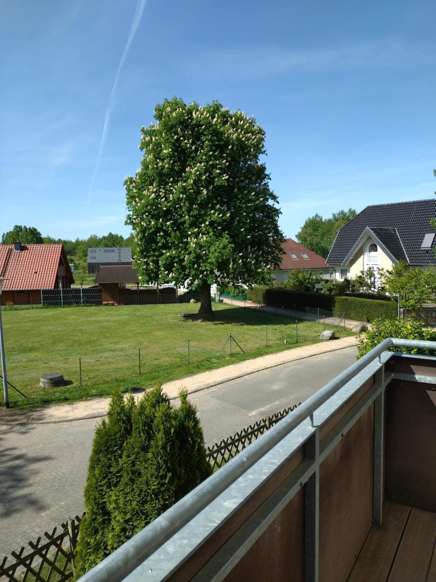 Ferienhaus Rechlin See Extérieur photo